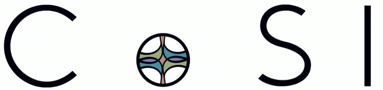 Community Support for Immigrants logo